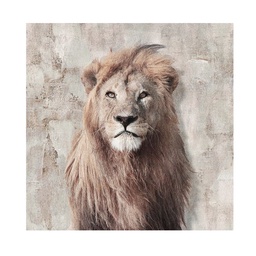 Canvas 20x20 cm Animales 02 Krea