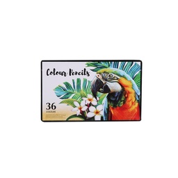 Lápices de Colores Set x 36 un Ubl