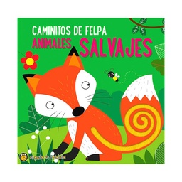 Libro Col. Caminitos de Felpa Guadal