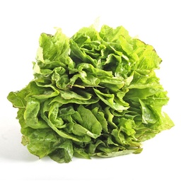 Lechuga Criolla x kg.