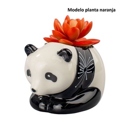 Suculenta Decorativa Carrefour Home Panda (Modelos Surtidos)