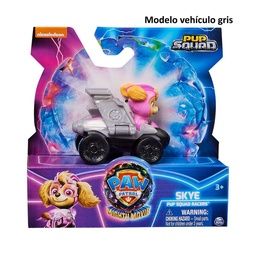 Vehículo Mini Paw Patrol con Figura (Modelos Surtidos)