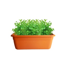 Maceta Jardinera 35 cm Barro