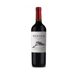 Vino Tinto Ventus Malbec 750 cc.