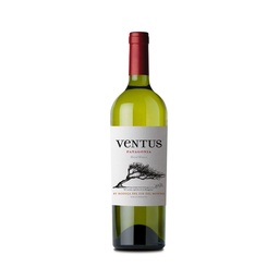 Vino Blanco Ventus Special Blend 750 cc.