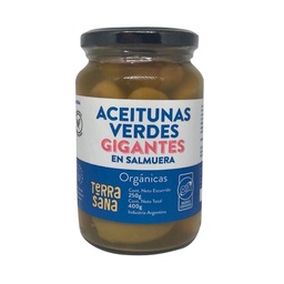 Aceitunas Verdes Terrasana Gigante Orgánico 250 g.