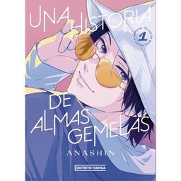 Libro Una Historia de Almas Gemelas