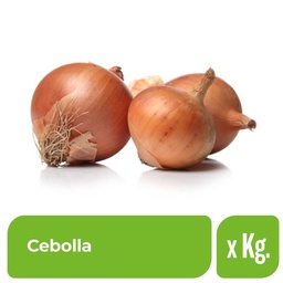 Cebolla Comercial en Bolsa Malla x 1 kg.