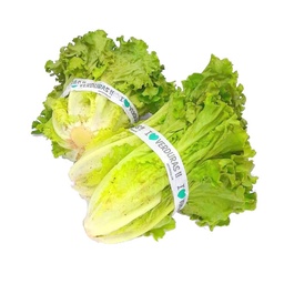 Lechuga Capuchina x 1 kg.