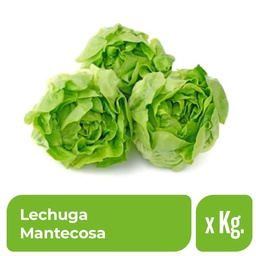 Lechuga Mantecosa x 1 kg.