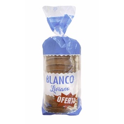 Pan de Molde Blanco Noly Liviano 315 gr.