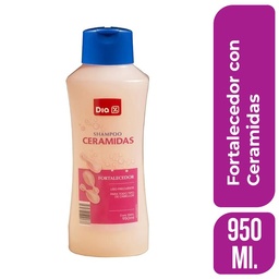 Shampoo Dia Fortalecedor con Ceramidas 950 ml.