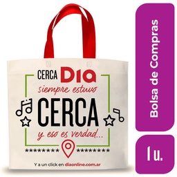 Bolsa de Compras Dia 45 x 40 Varios Modelos 1 un.