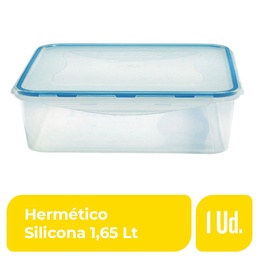 Hermético Silicona 1,65 l Dia 1 Ud.