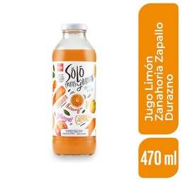 Jugo Limón Zanahoria Zapallo Durazno Dia 500 ml.