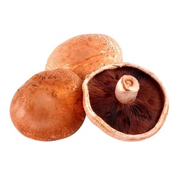 Champignon Portobello 100g