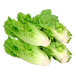 Lechuga Criolla 500g