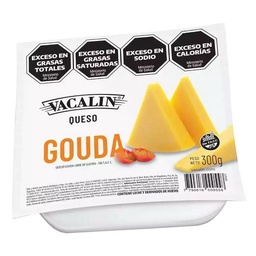 Queso Gouda Vacalin 300gr