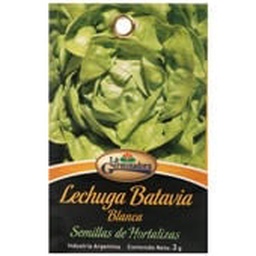 Semillas Lechuga Batavia X3,00gr La Germinadora 350302