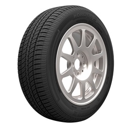 Neumático Horizon 2 195/65 R15 91H