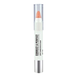 Correctores Chubby Get The Look Correct And Perfect Naranja