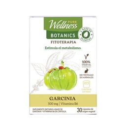 Suplemento Dietario Pure Wellness Garcinia x 30 un