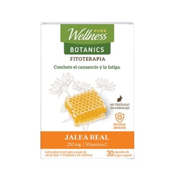 Suplemento Dietario Pure Wellness Jalea Real x 250 g