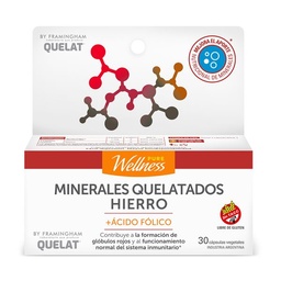 Hierro Complex Pure Wellness  x 30 un