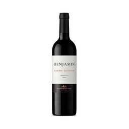 Vino Tinto Benjamín Nieto Senetiner Cabernet Sauvignon 750 cc