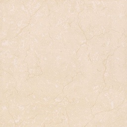 Porcell Pulido 60x60 Mod Csa6103 C/1.44m