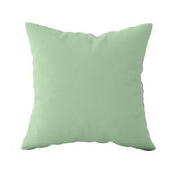 Almohadon 50 x 50 Tusor Verde Menta