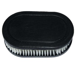 Filtro de Aire Dibra para Motor B&s 625E Tm