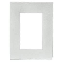 Placa/bastidor Minimal Satin Plata