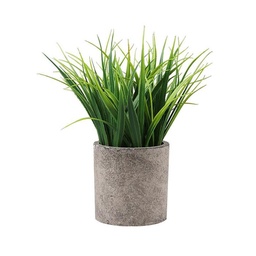 Plantin Artificial Maceta Cemento 20 cm