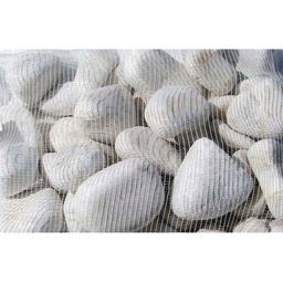 Piedras Bianco 10 kg Selección Premium