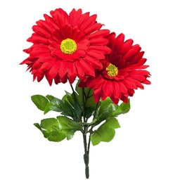 Ramo Gerbera Charming Flowers