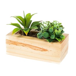 Suculenta Charming Flowers con Base de Madera Rectangular