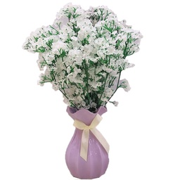 Nueva Gypsophila Charming Flowers