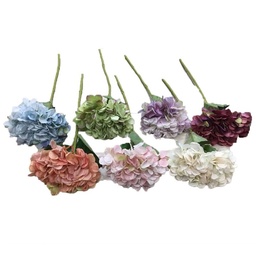 Pick de Hortensias Charming Flowers