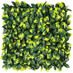 Muro de Hojas Roots Euonymus Verde 50x50 cm