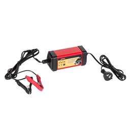 Cargador de Batería Auto 6V-12v 2A Datrak