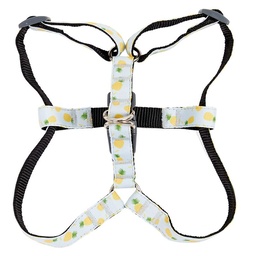 Arnés para Perros Poliéster Talla m Piñas Pet's Fun